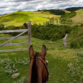 Qual é a diferença entre rancho, chácara, sítio e fazenda?