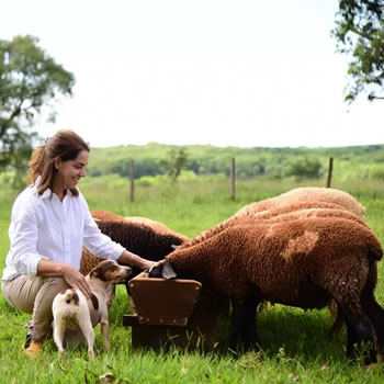 Os benefícios da vida no campo