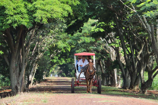 Turismo Rural