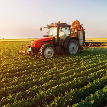 Qual a influência das estações do ano na agricultura?